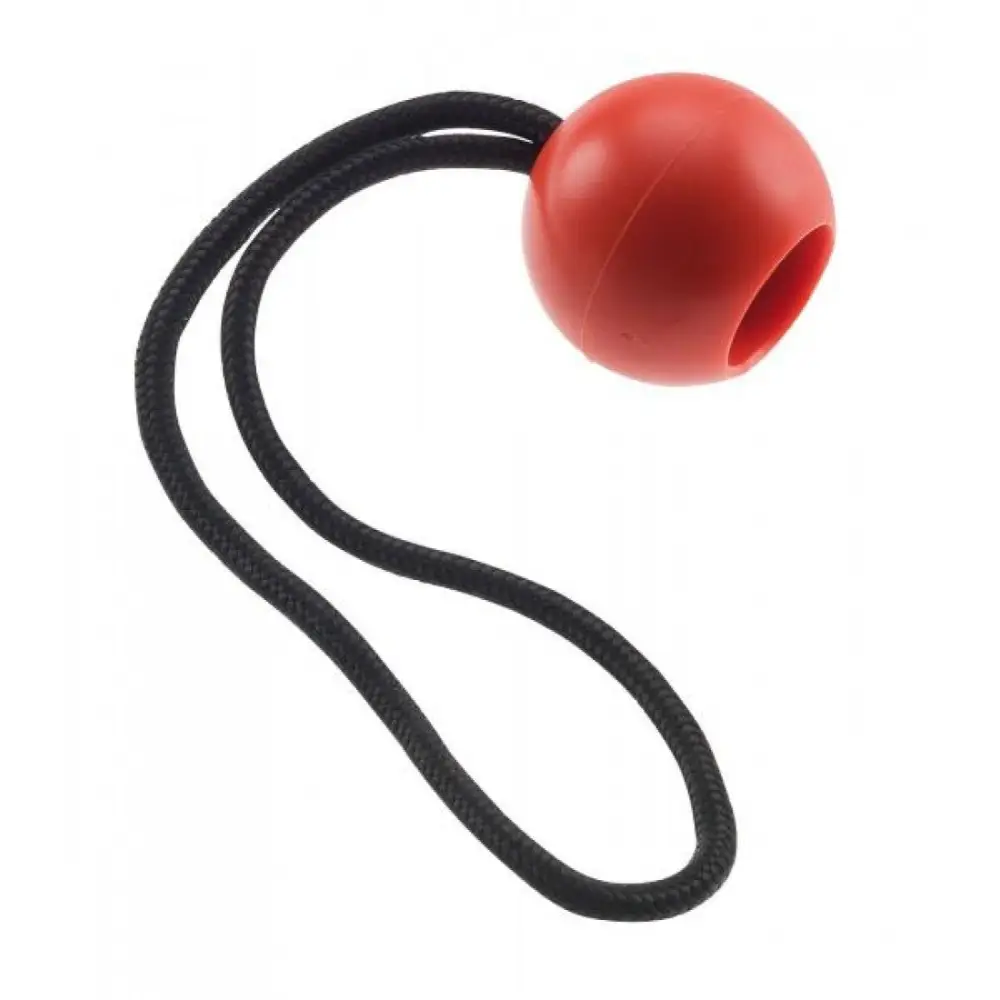 CAMP Cambium Saver Retriever Ball