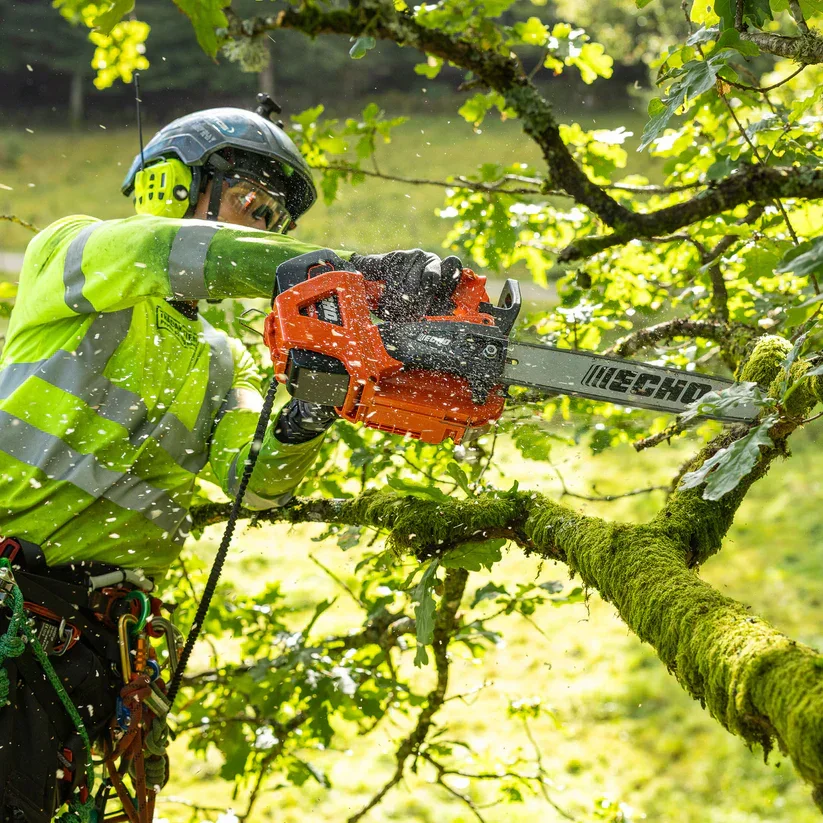 ECHO DCS-3500T Battery Chainsaw - Machine only. - Image 3