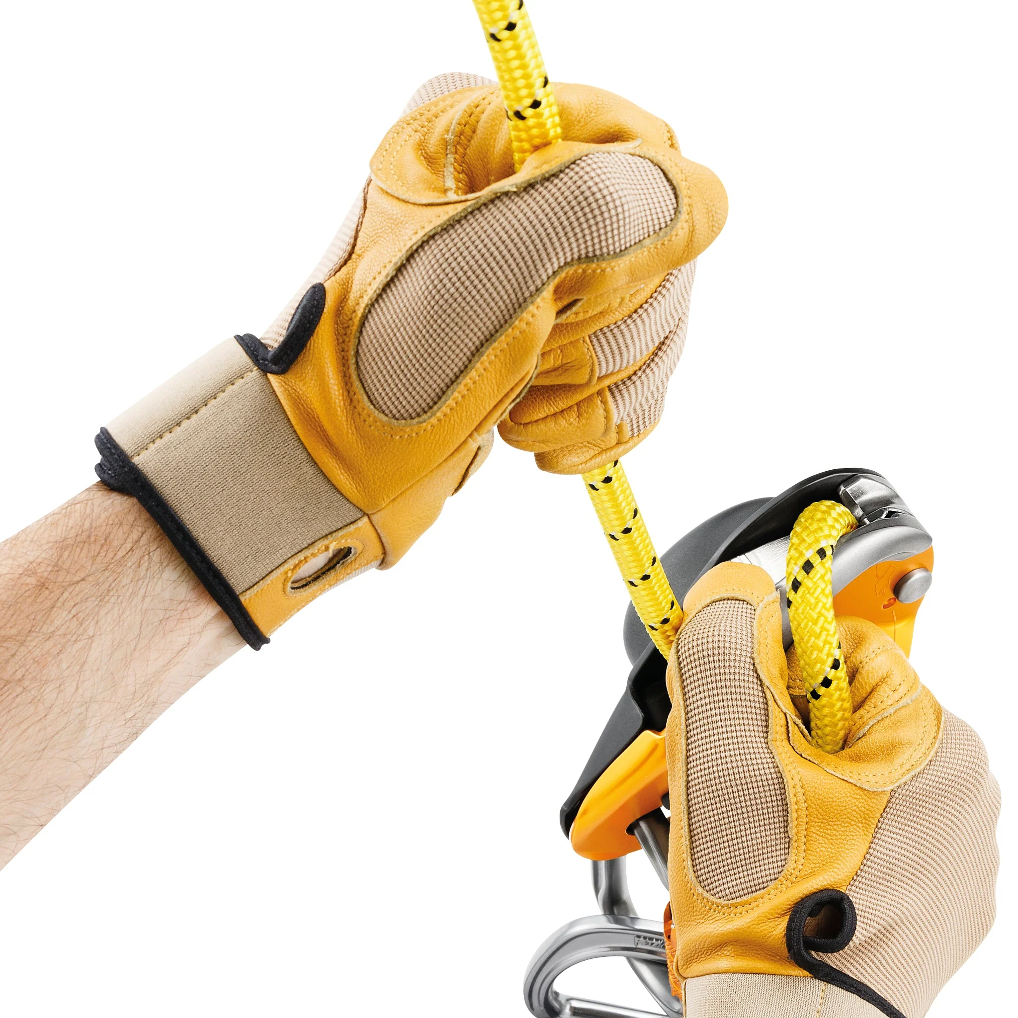 Petzl Rig - Image 5