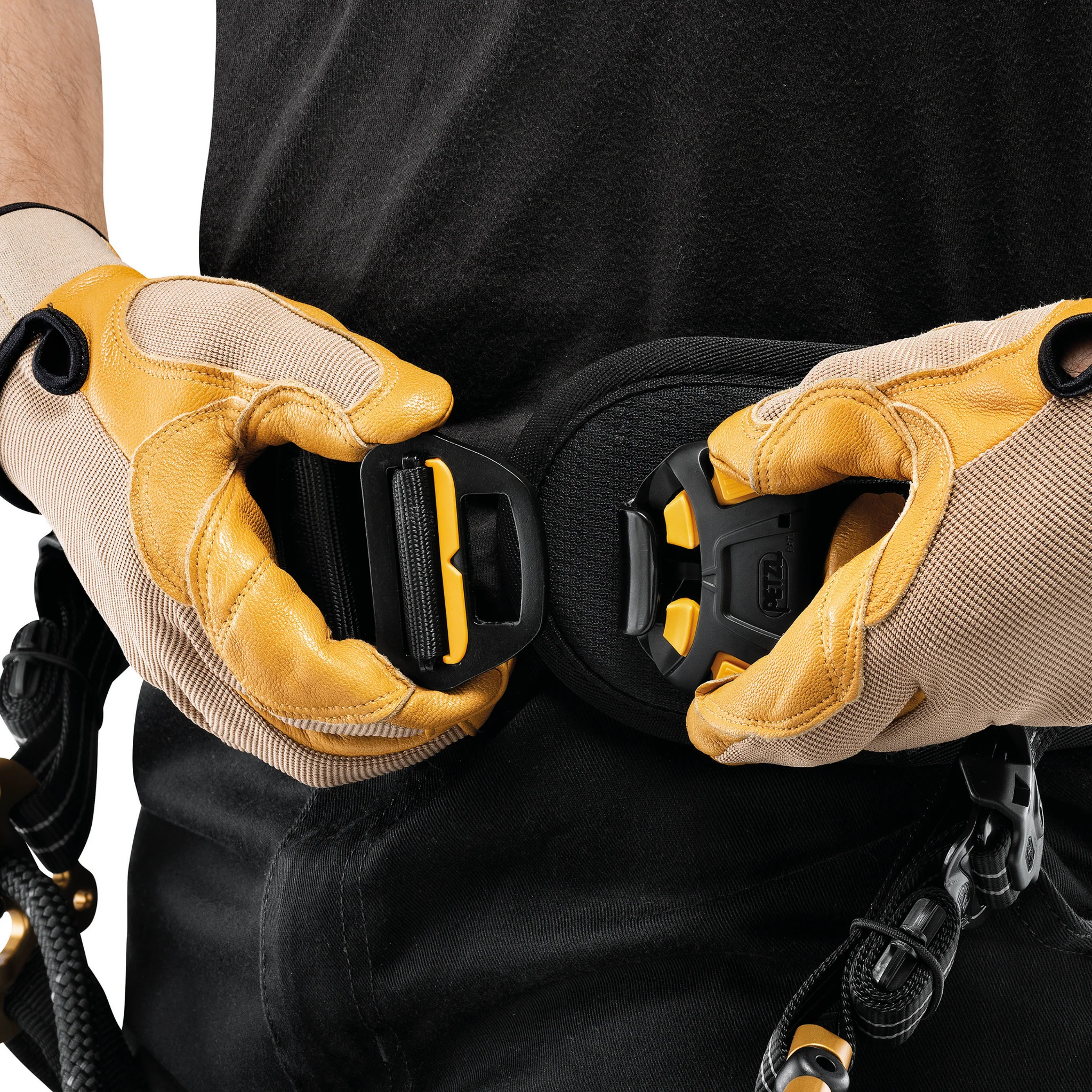 Petzl Sequoia Tree Climbing Harness - Image 4