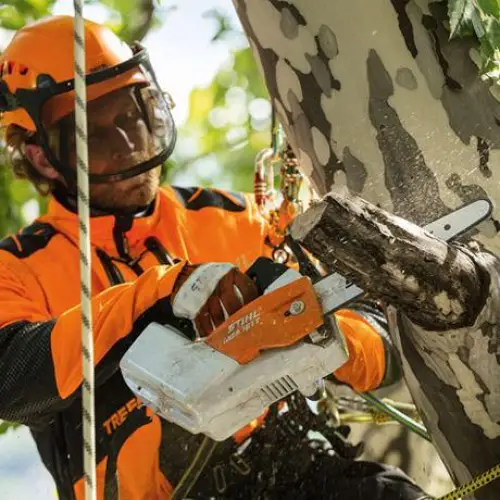 Stihl MSA 161 T Chainsaw - Image 4